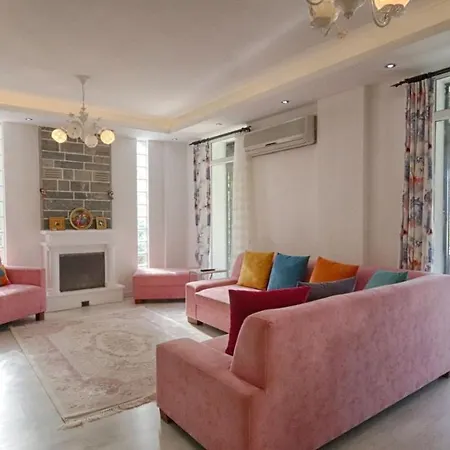 别墅 Villa Ipek 费特希耶